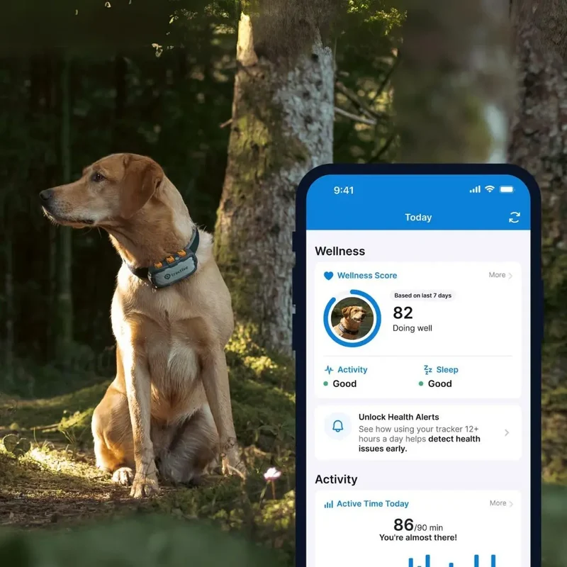 Tractive - GPS Dog Adventure XL