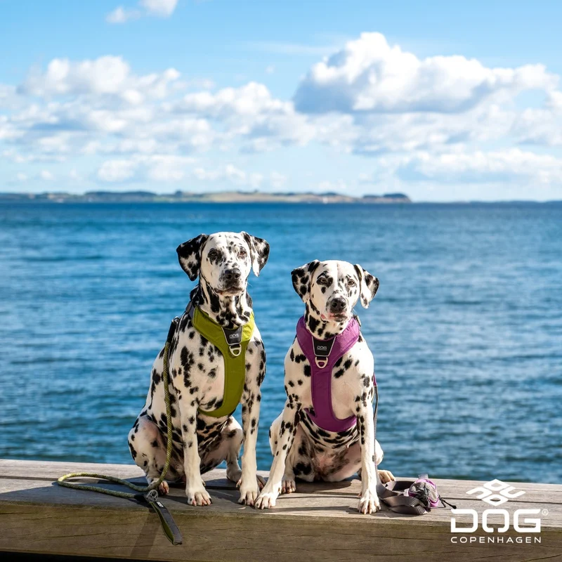 DogCopenhagen Arnés Comfort Walk Pro™ - V3 Verde