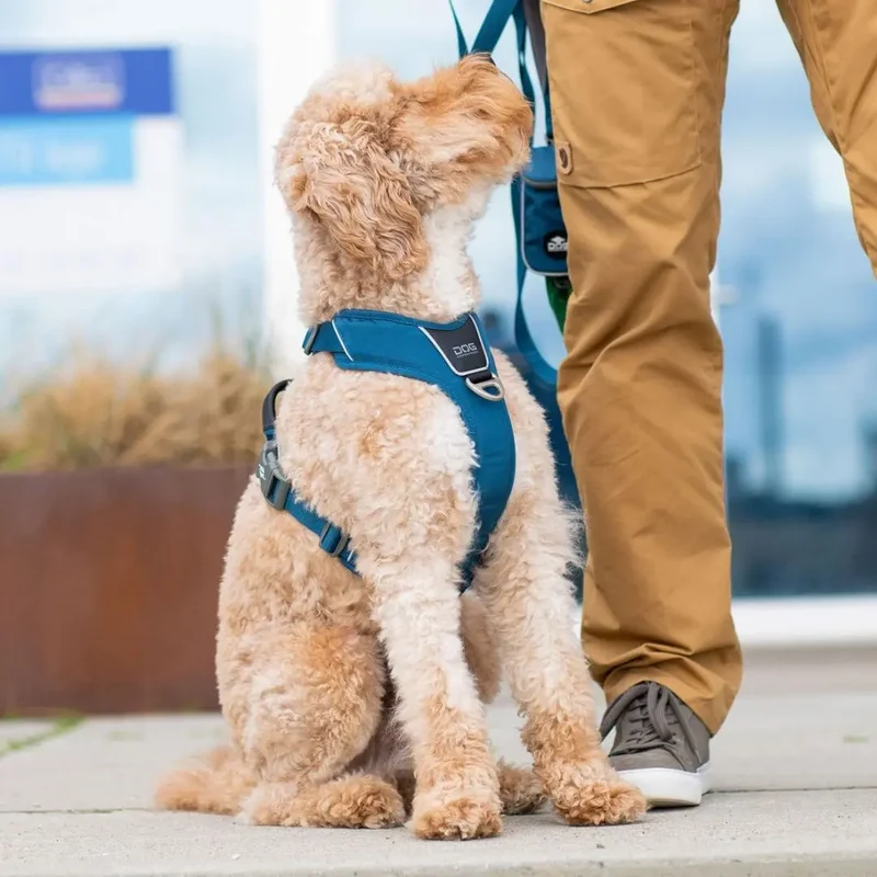 DogCopenhagen Arnés Comfort Walk Pro™ - V3 Rojo