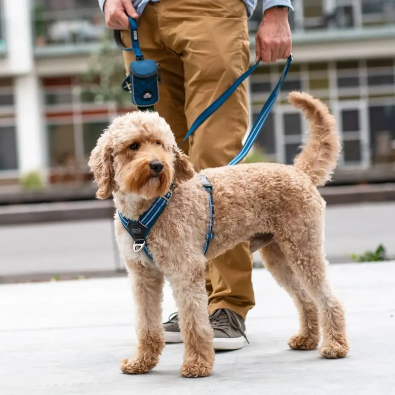 DogCopenhagen Arnés Walk Air™ V3 Rojo