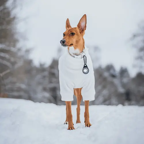Orbiloc Dog Dual Safety Light - White