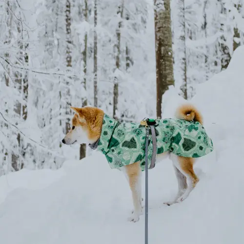 Orbiloc Dog Dual Safety Light - Green