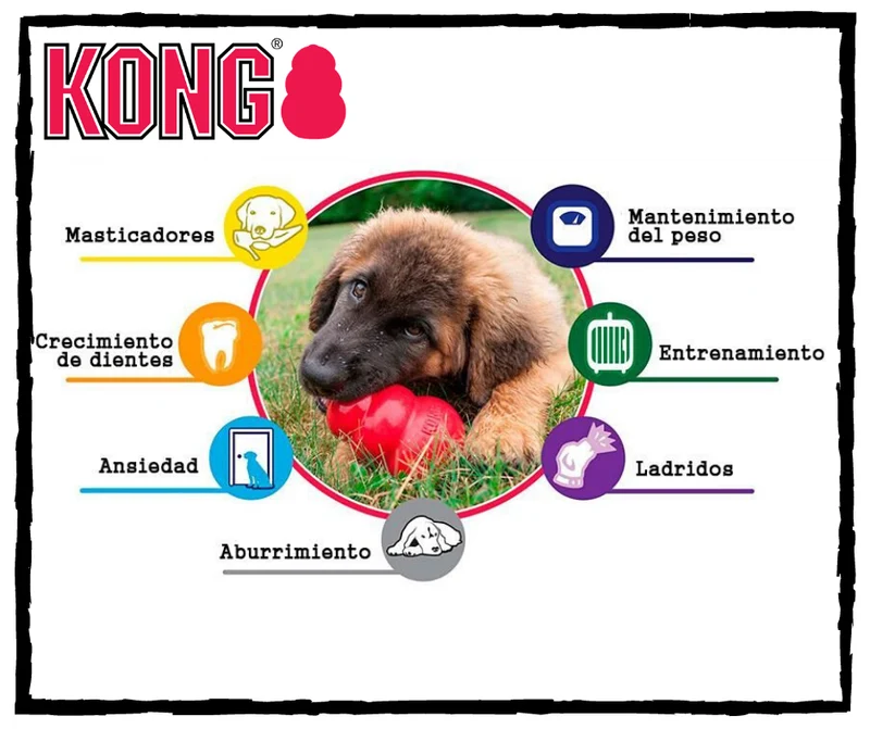 KONG Classic