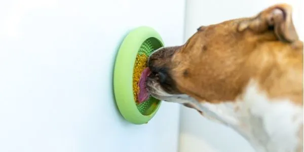 LickiMat UFO
