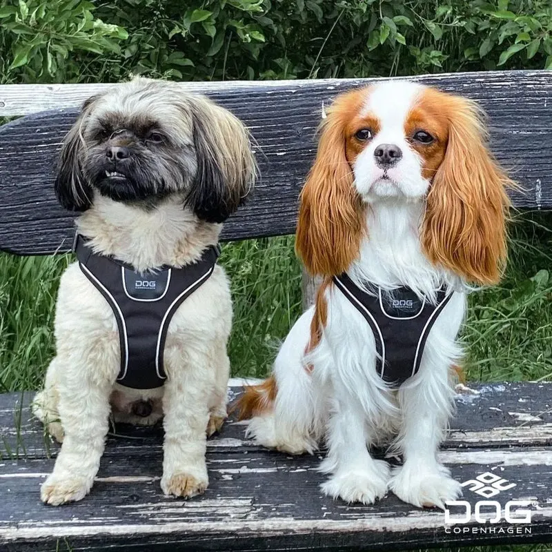 DogCopenhagen Arnés Comfort Walk GO Negro