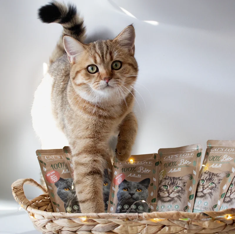 Cat´s Love BIO Ternera 100g
