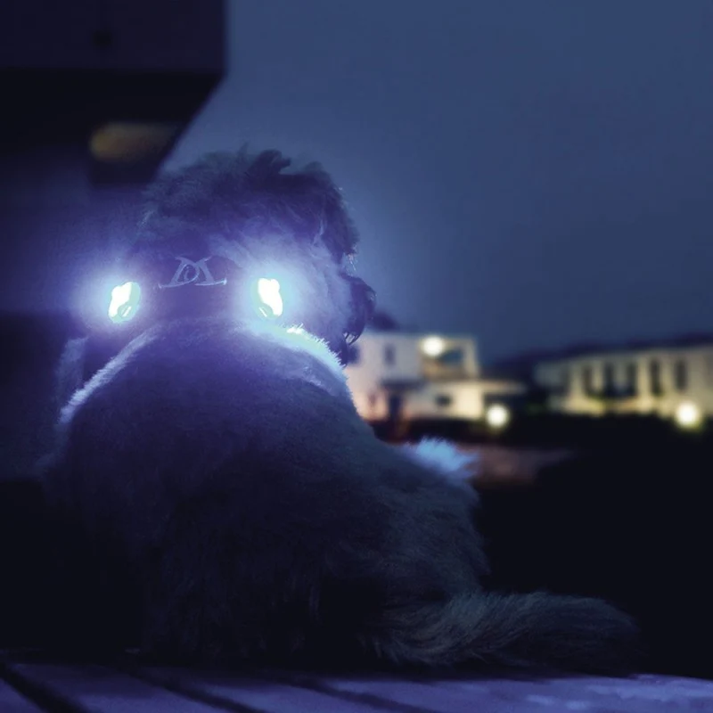 Curli "Luumi" Luz LED