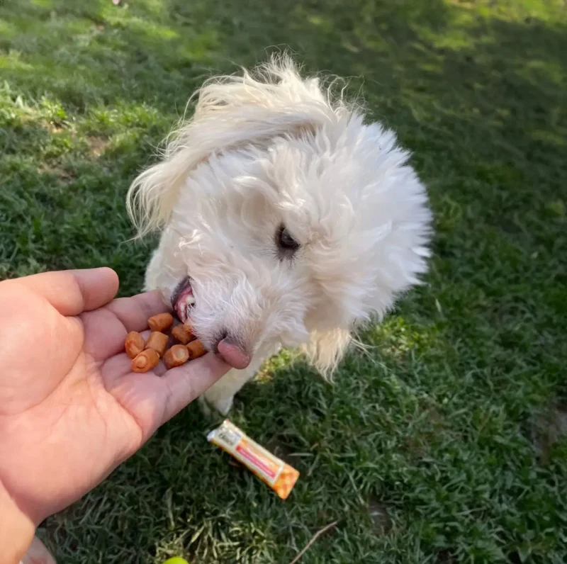 Inaba Dog Churu Bites Pollo 12g