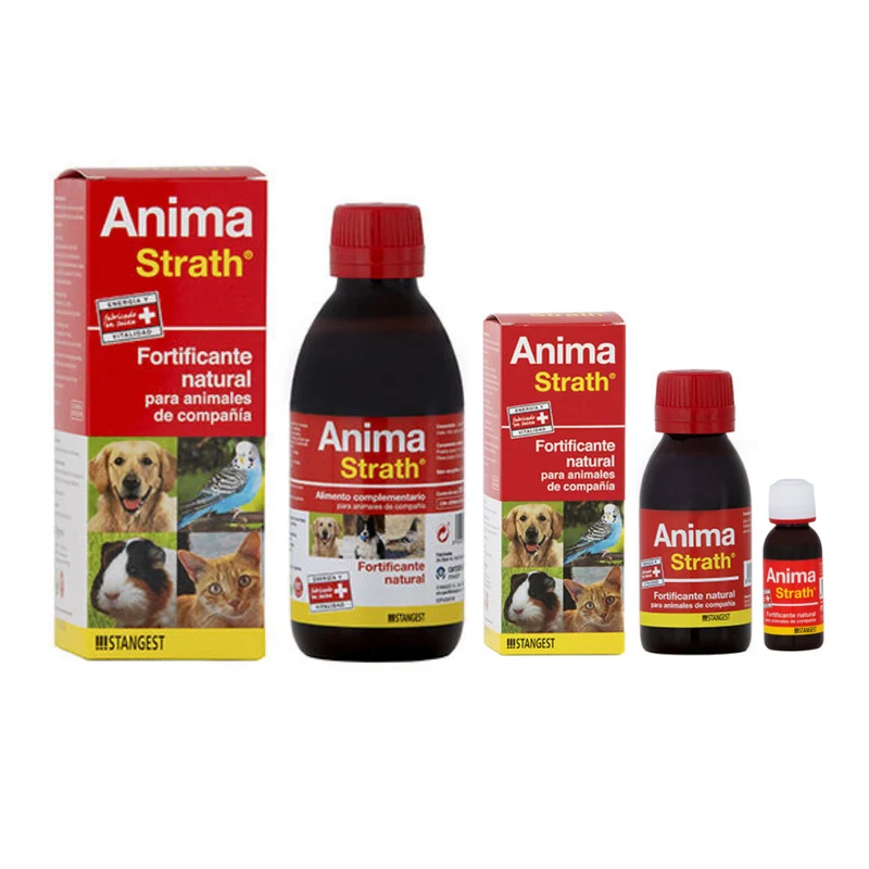 Anima Strath