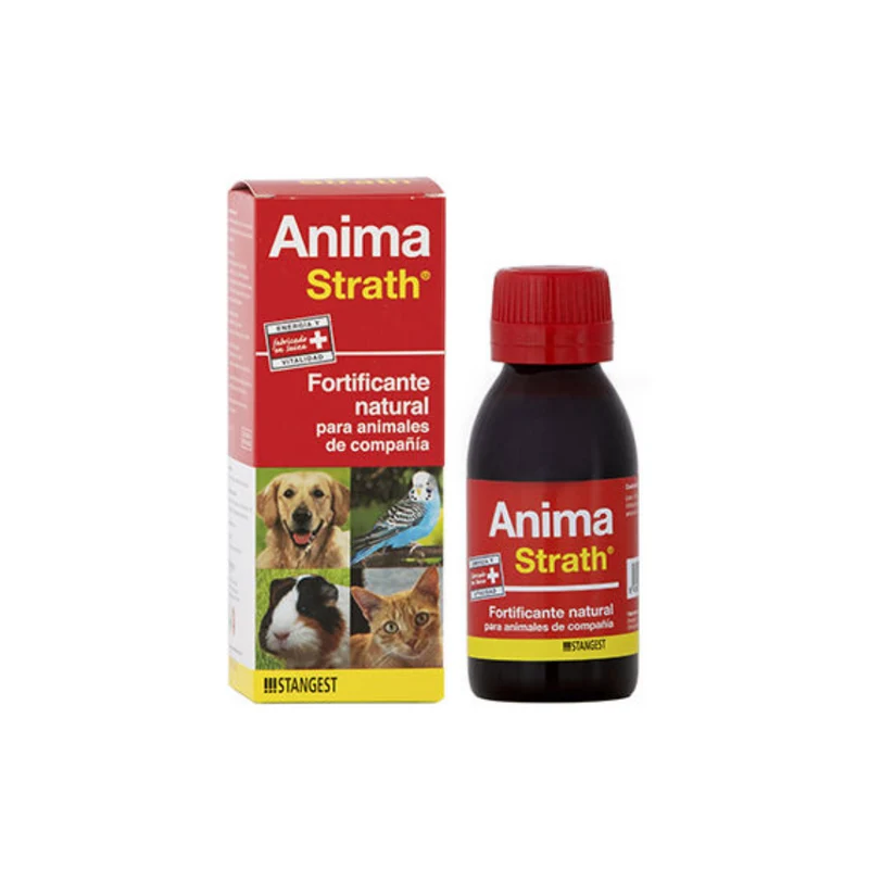 Anima Strath