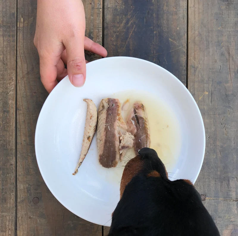 Canumi Dog Filetes de Caballa al Natural 120g