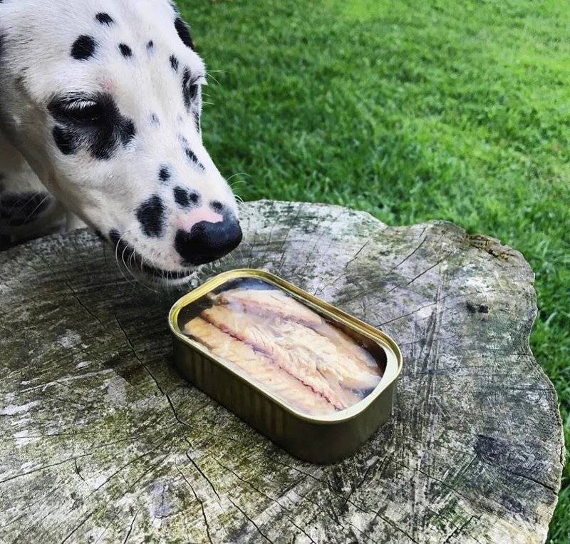 Canumi Dog Filetes de Caballa al Natural 120g
