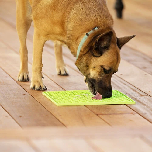 LickiMat Buddy 20x20cm