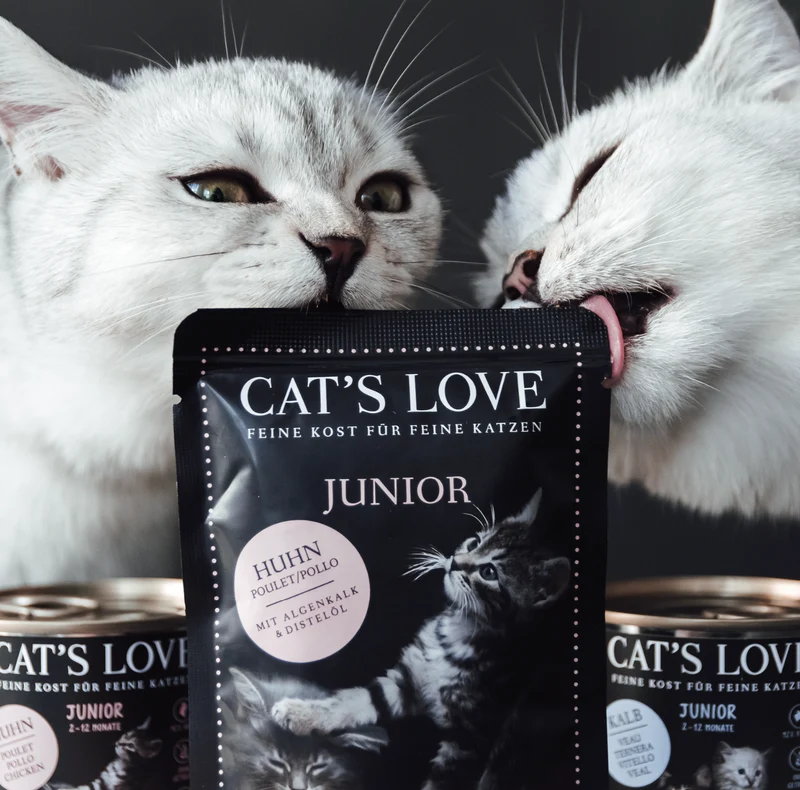 Cat´s Love Junior Pollo