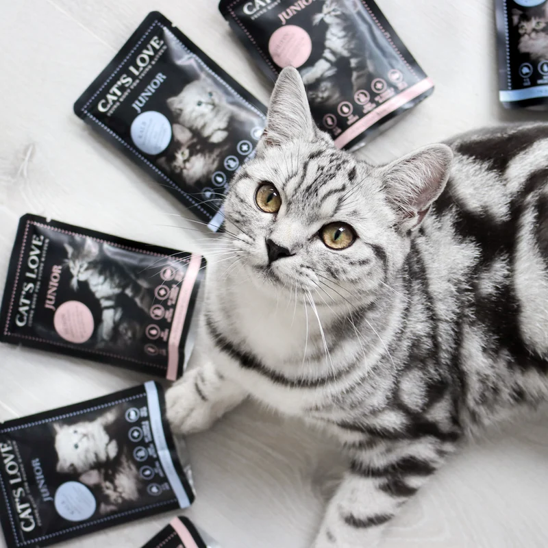 Cat´s Love Junior Ternera