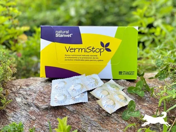 Stanvet VermiStop 1 comprimido