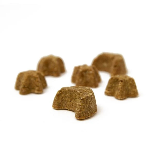 Yora Snacks de Insectos "Dreamers" 100g