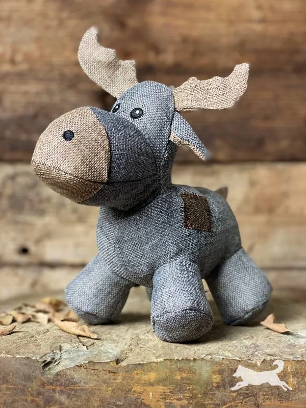 CountryDog Moose