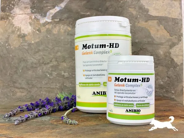 Anibio Motum-HD (con mejillon verde)