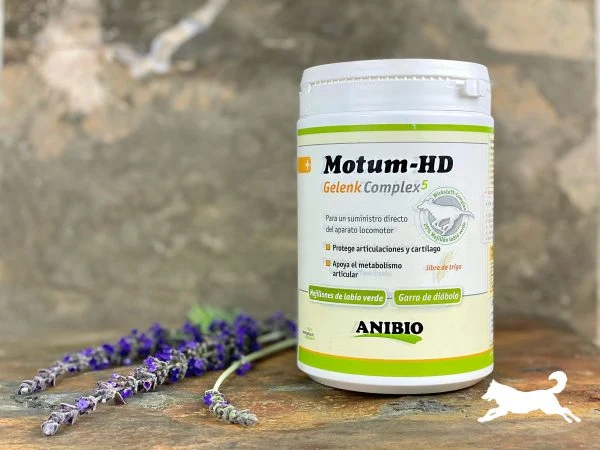 Anibio Motum-HD (con mejillon verde)