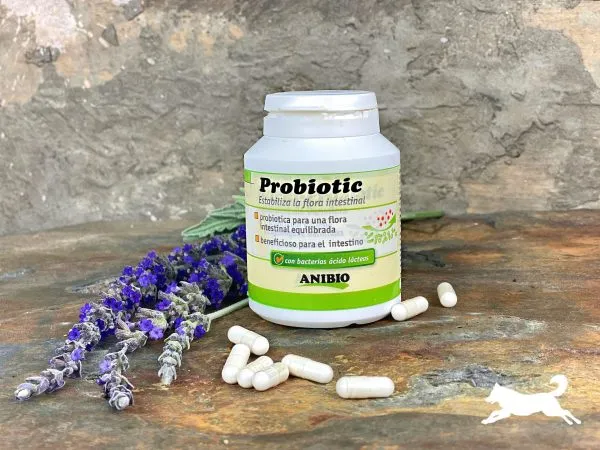 Anibio Probiotic 120 capsulas