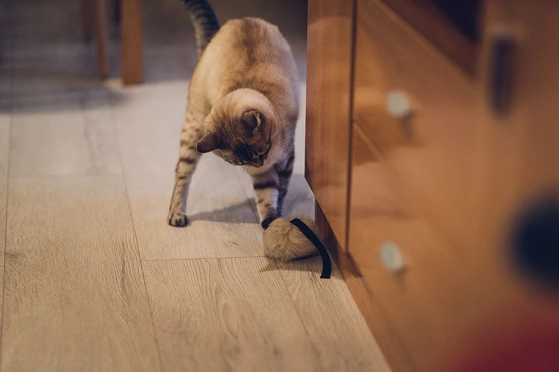 GloriaPets Cat Toy "Calatrava"