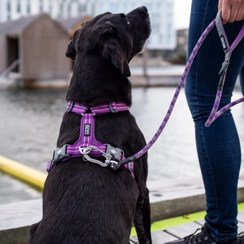DogCopenhagen Arnés Comfort Walk Air Rojo