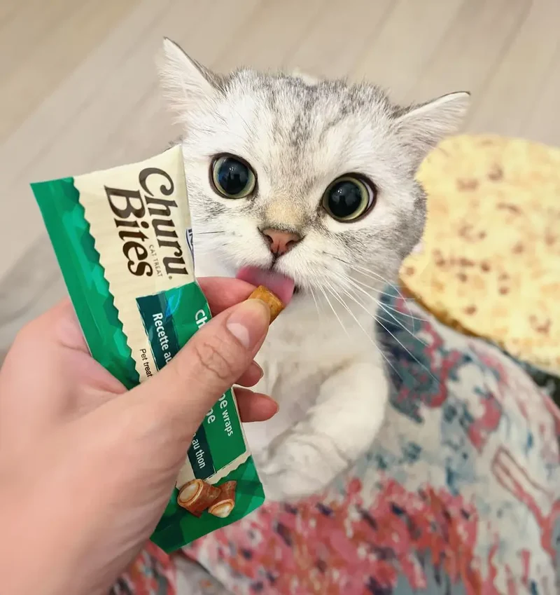 Inaba Cat Churu Bites Pollo y Atún 3x10g