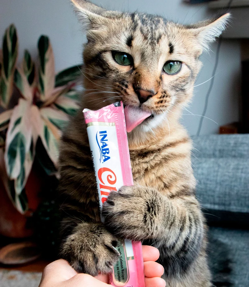Inaba Cat Churu Atún con Salmón 4x14g