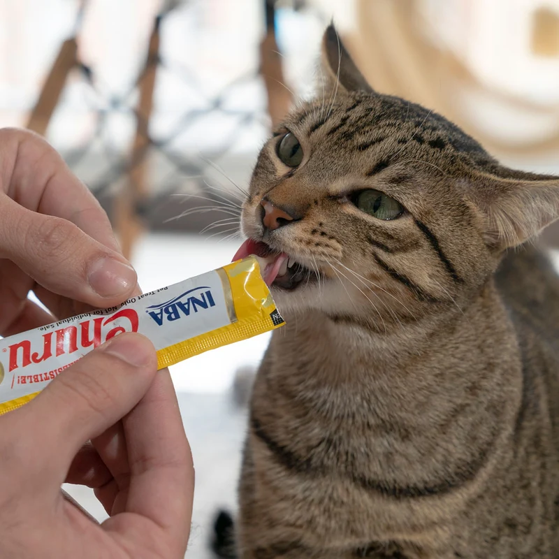 Inaba Cat Churu Pollo con Queso 4x14g