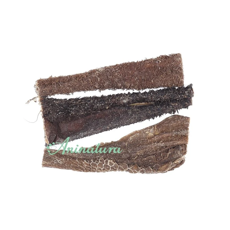 Aninatura Tripa de Vacuno para perros