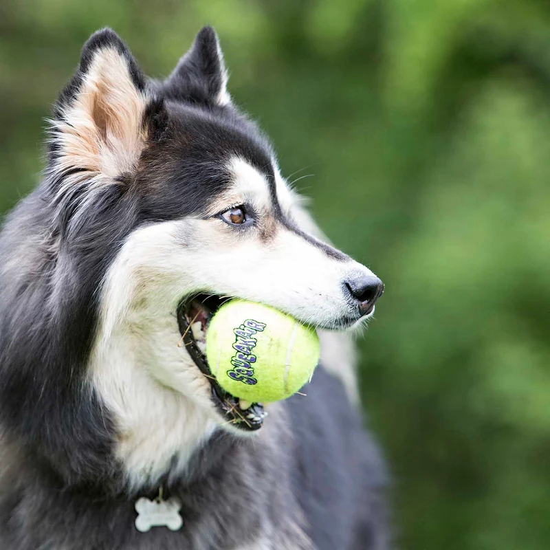 KONG Air Ball
