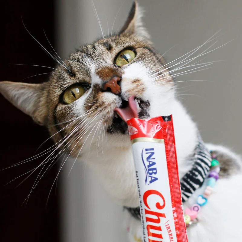 Inaba Cat Churu Multipack Marisco
