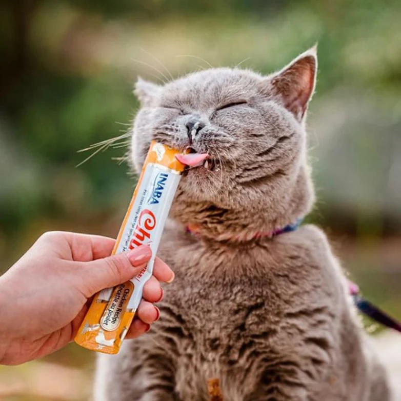 Inaba Cat Churu Multipack Pollo