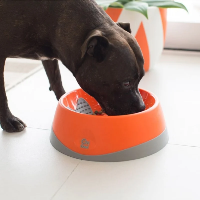 LickiMat Dog Oh Bowl