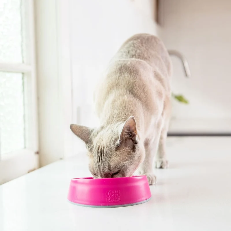 LickiMat Cat Oh Bowl
