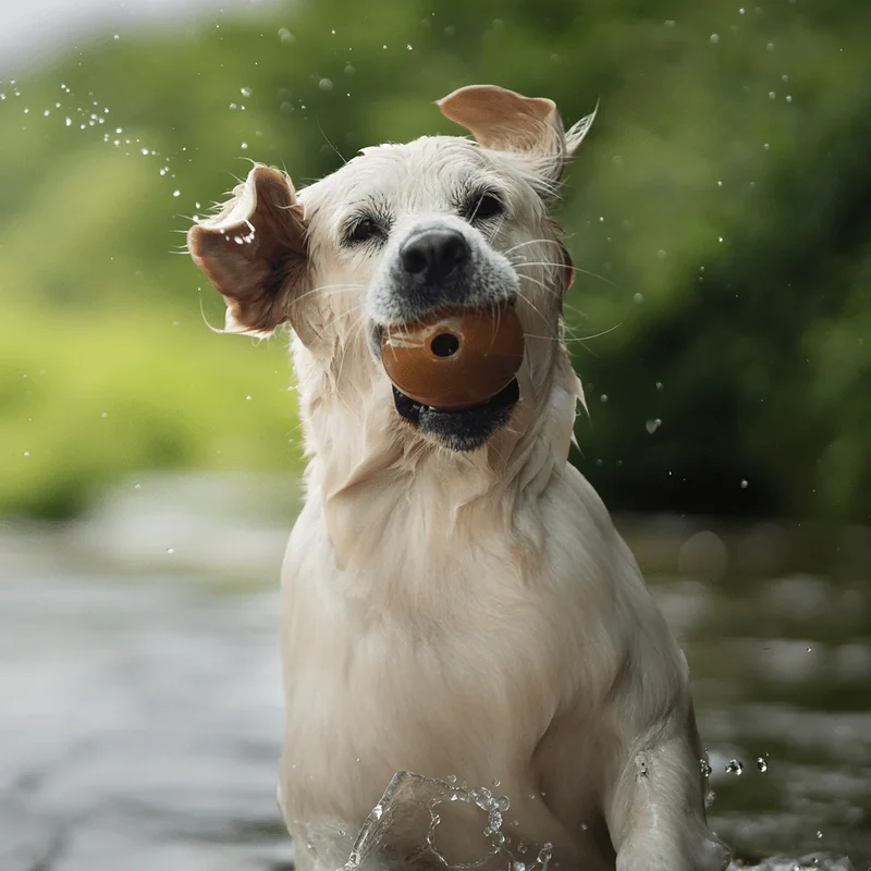 Retorn RUB Ball